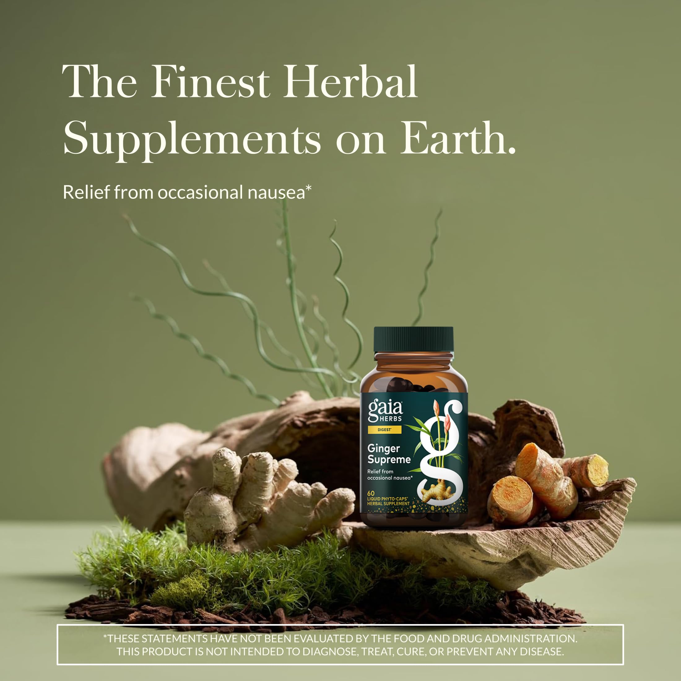 Gaia Herbs Ginger Supreme capsules ready for daily use