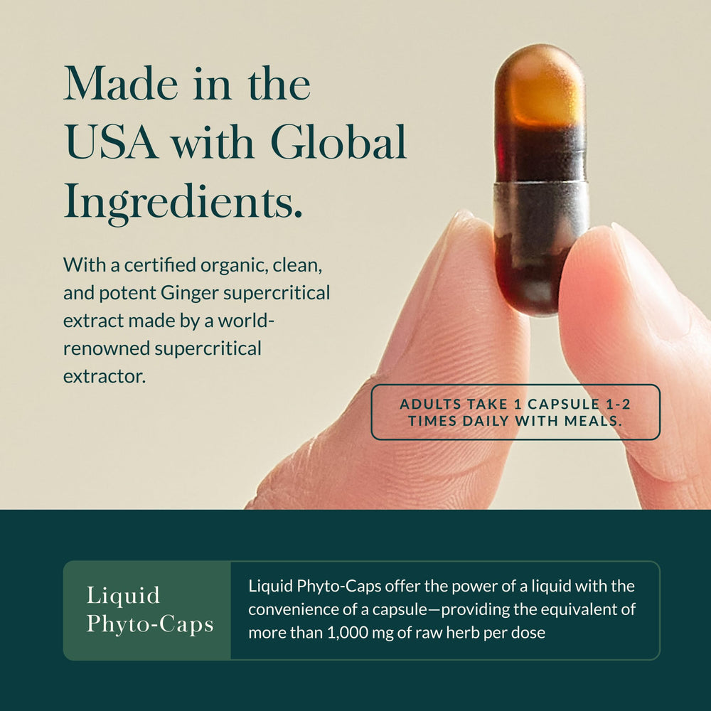 Turmeric root and capsule cluster conveys herbal digestion support