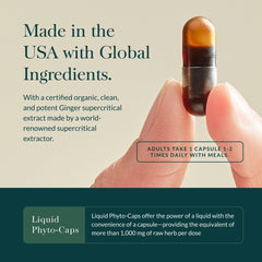 Turmeric root and capsule cluster conveys herbal digestion support