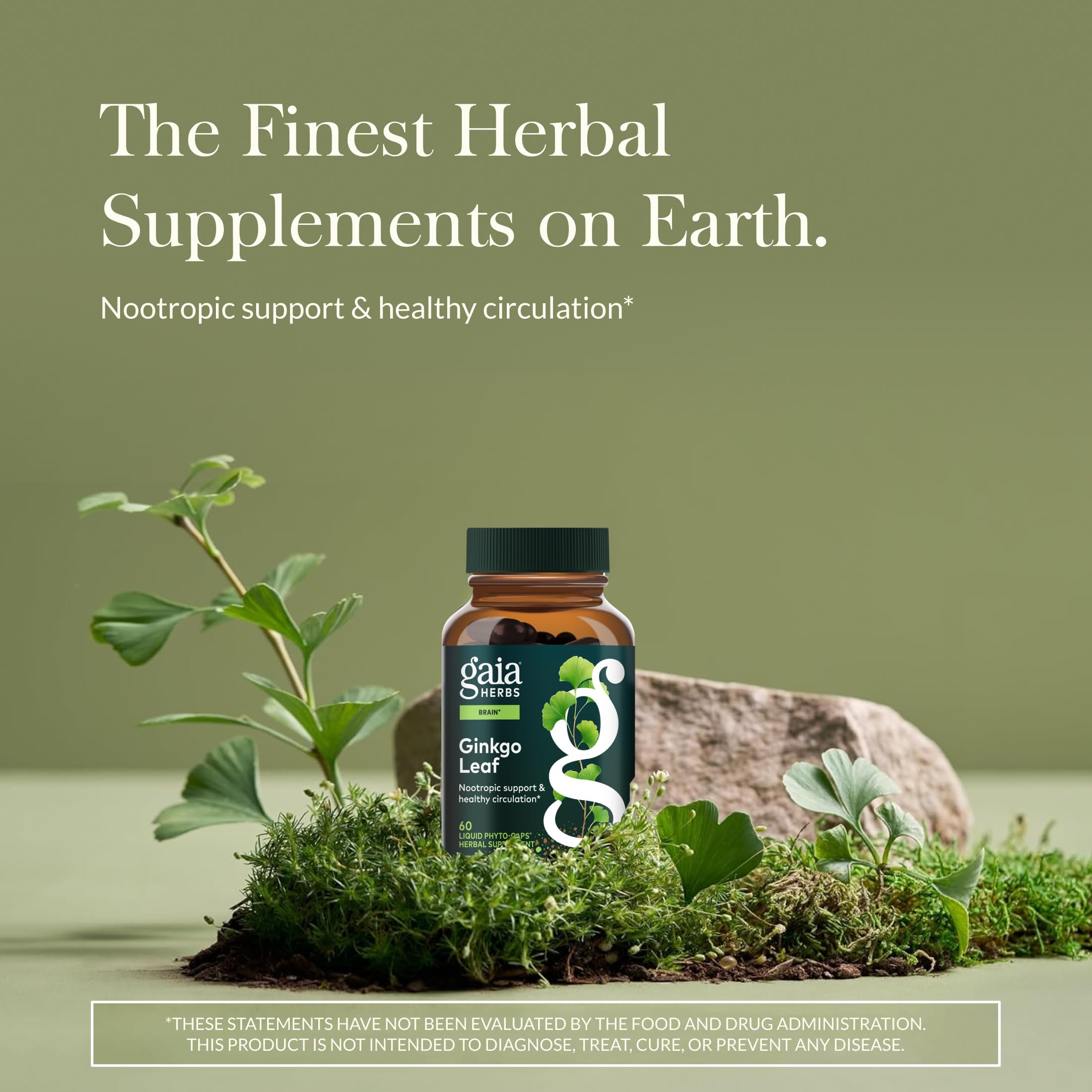 Gaia Herbs Ginkgo Leaf bottle back showing ingredients and usage notes.