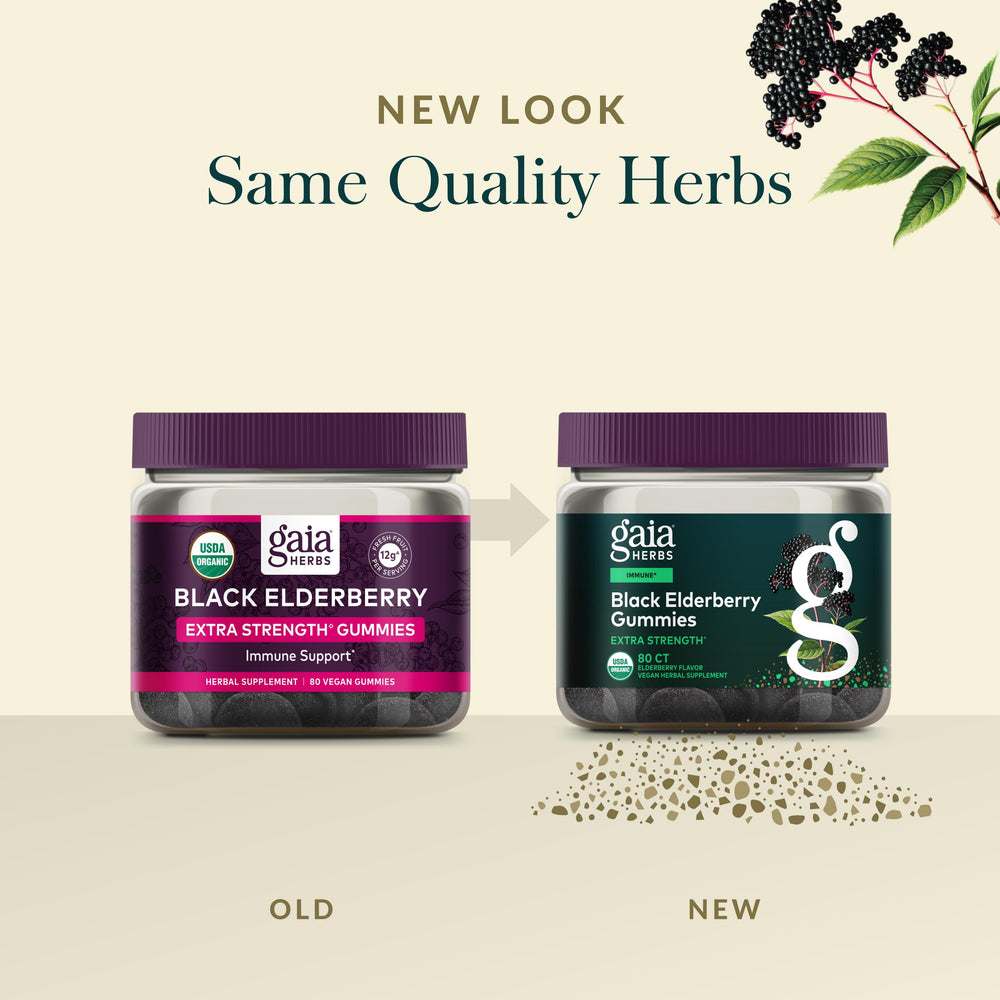Gaia Herbs gummies with natural fruit sweetness support a tasty daily routine.
