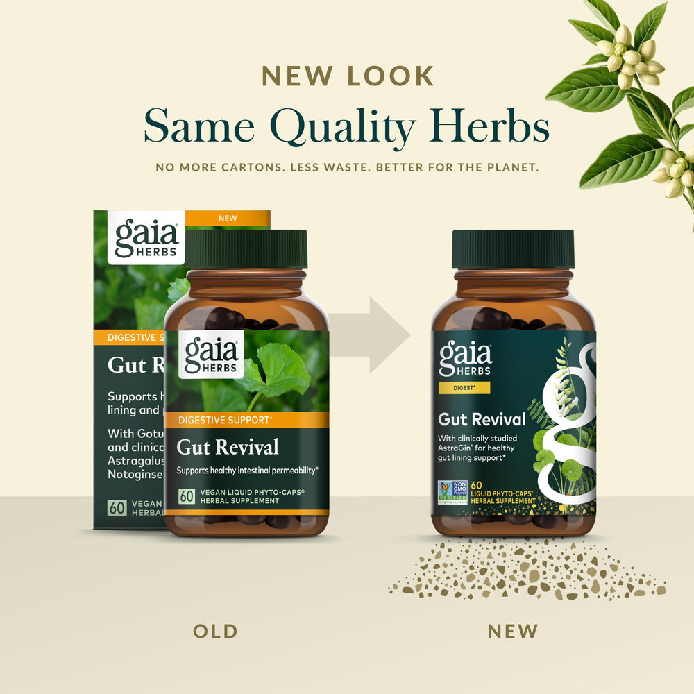 Gaia Herbs Gut Revival capsules on a wooden surface with natural light