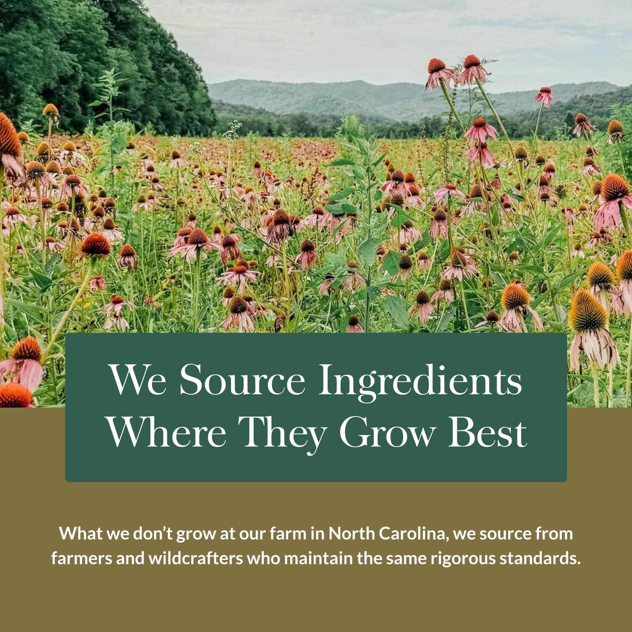 Transparent ingredient list close-up supports consumer trust.