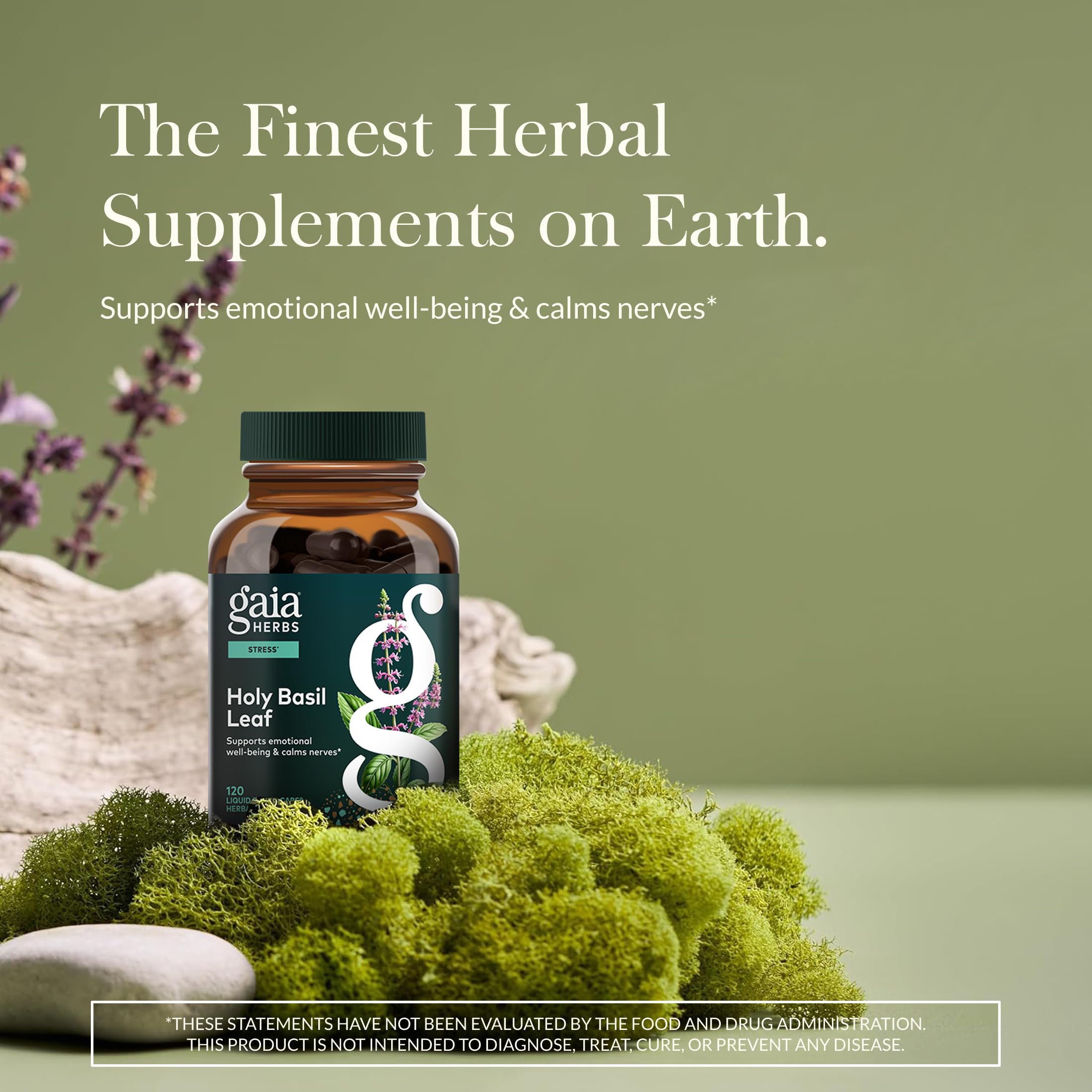 Gaia Herbs Holy Basil capsules stacked for daily rituals