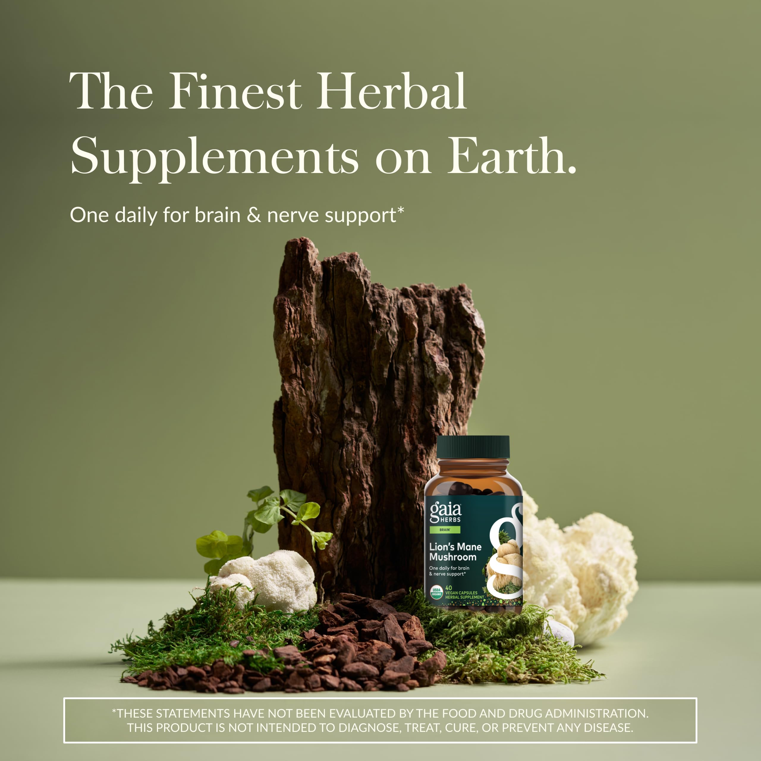 Lion's Mane label closeup highlighting organic, plant-based sourcing and quality commitment.