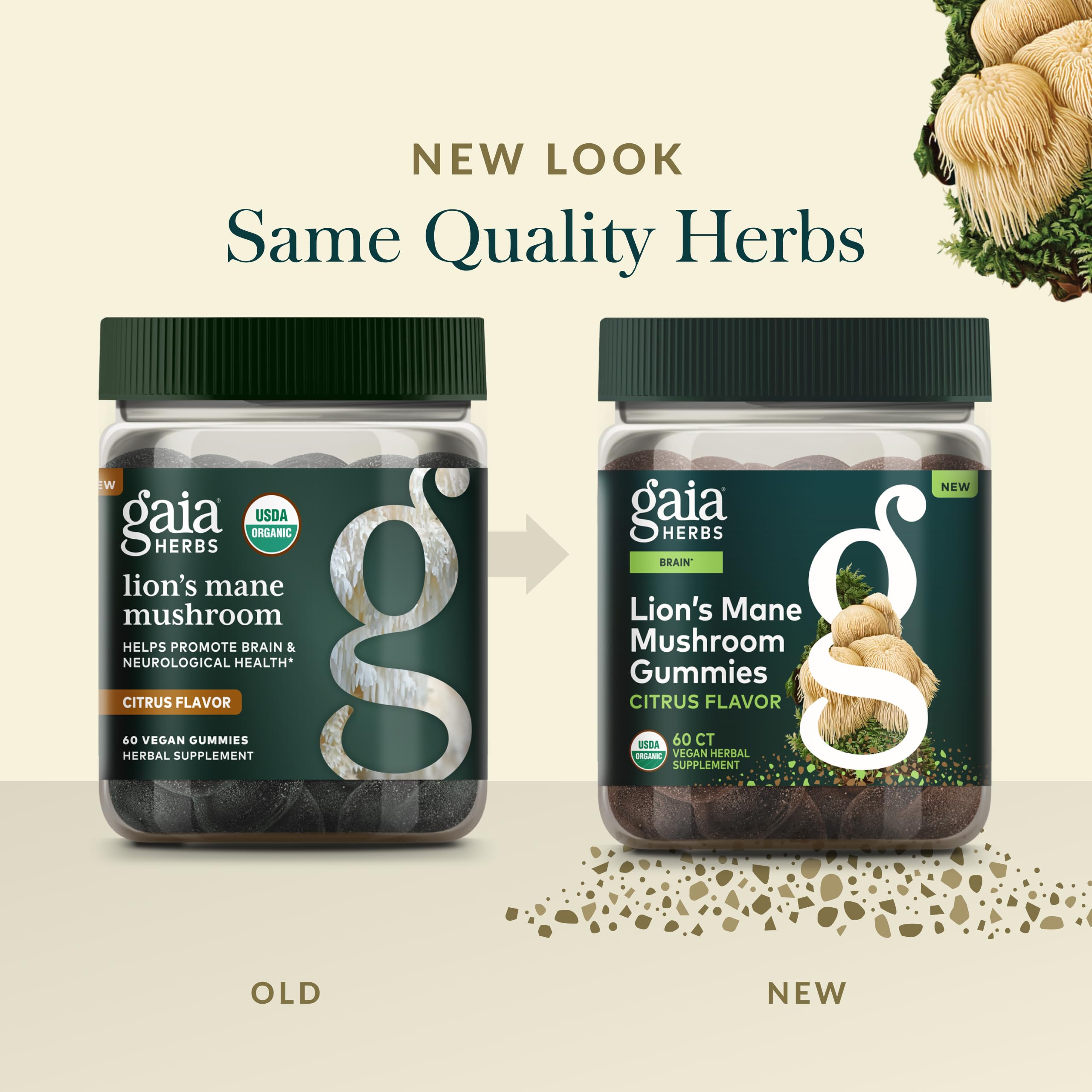 Gaia Herbs Lion's Mane packaging on shelf for daily use