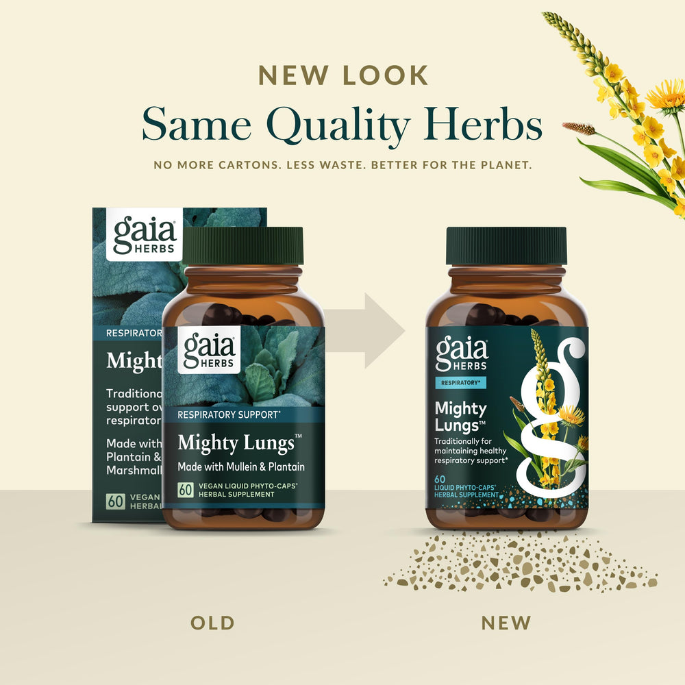 Gaia Herbs Mighty Lungs holy basil extract vial reflecting solvent-free quality.