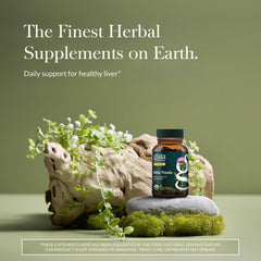 Gaia Herbs Milk Thistle packaging highlights organic full-spectrum extract.