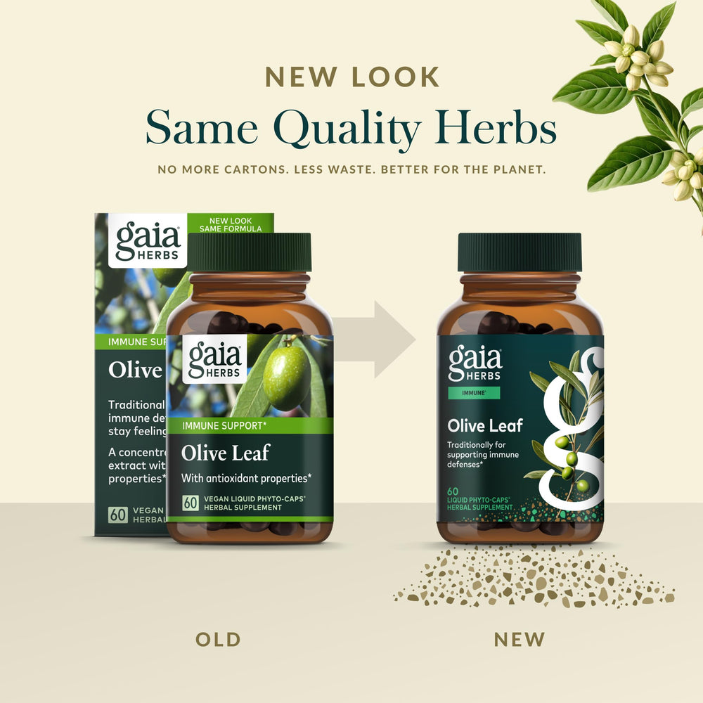 Phytocaps capsules featuring Gaia Herbs olive leaf for daily wellness.