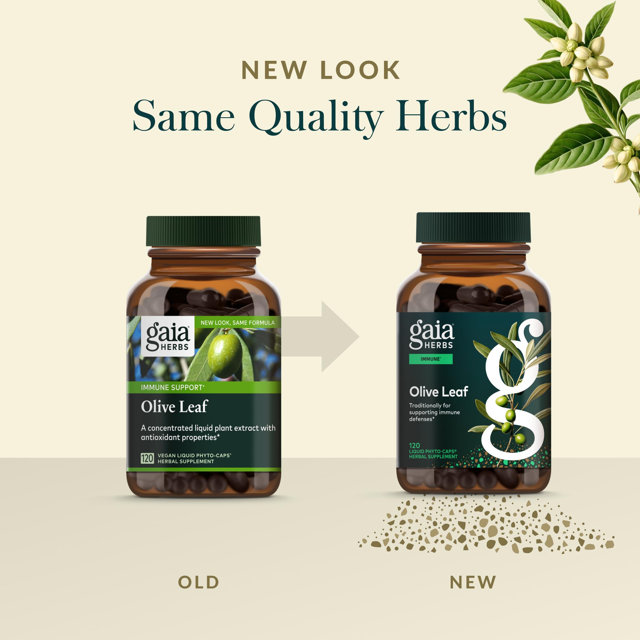 Gaia Herbs Olive Leaf Spanish farms image underlines sustainable, traceable sourcing