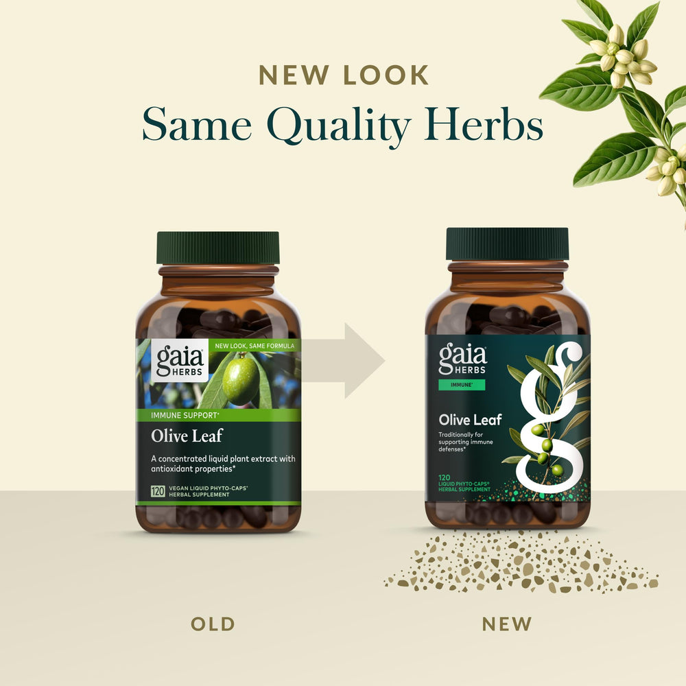 Gaia Herbs Olive Leaf Spanish farms image underlines sustainable, traceable sourcing