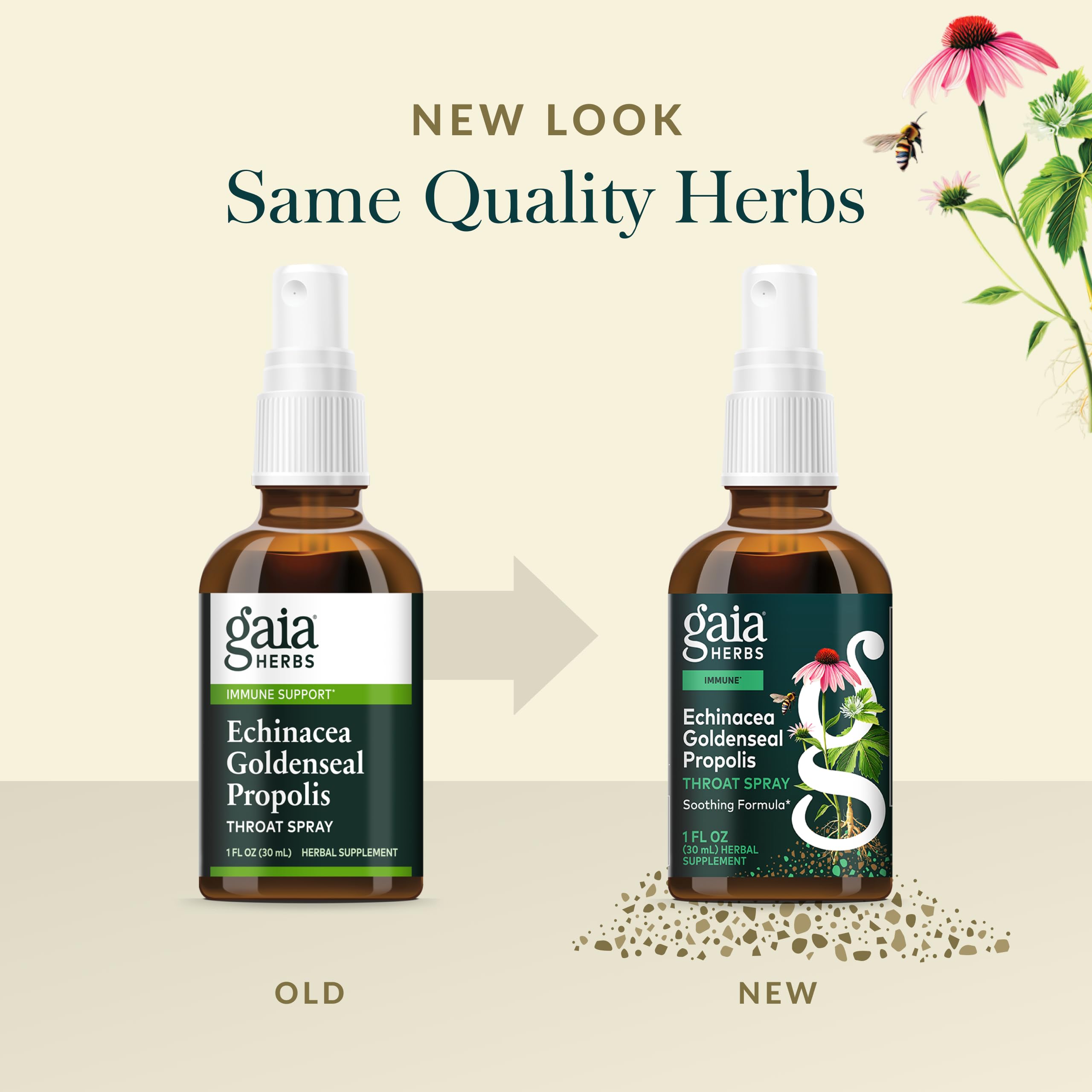 Gaia Herbs Oregon grape ingredient close up underscores traditional botanicals