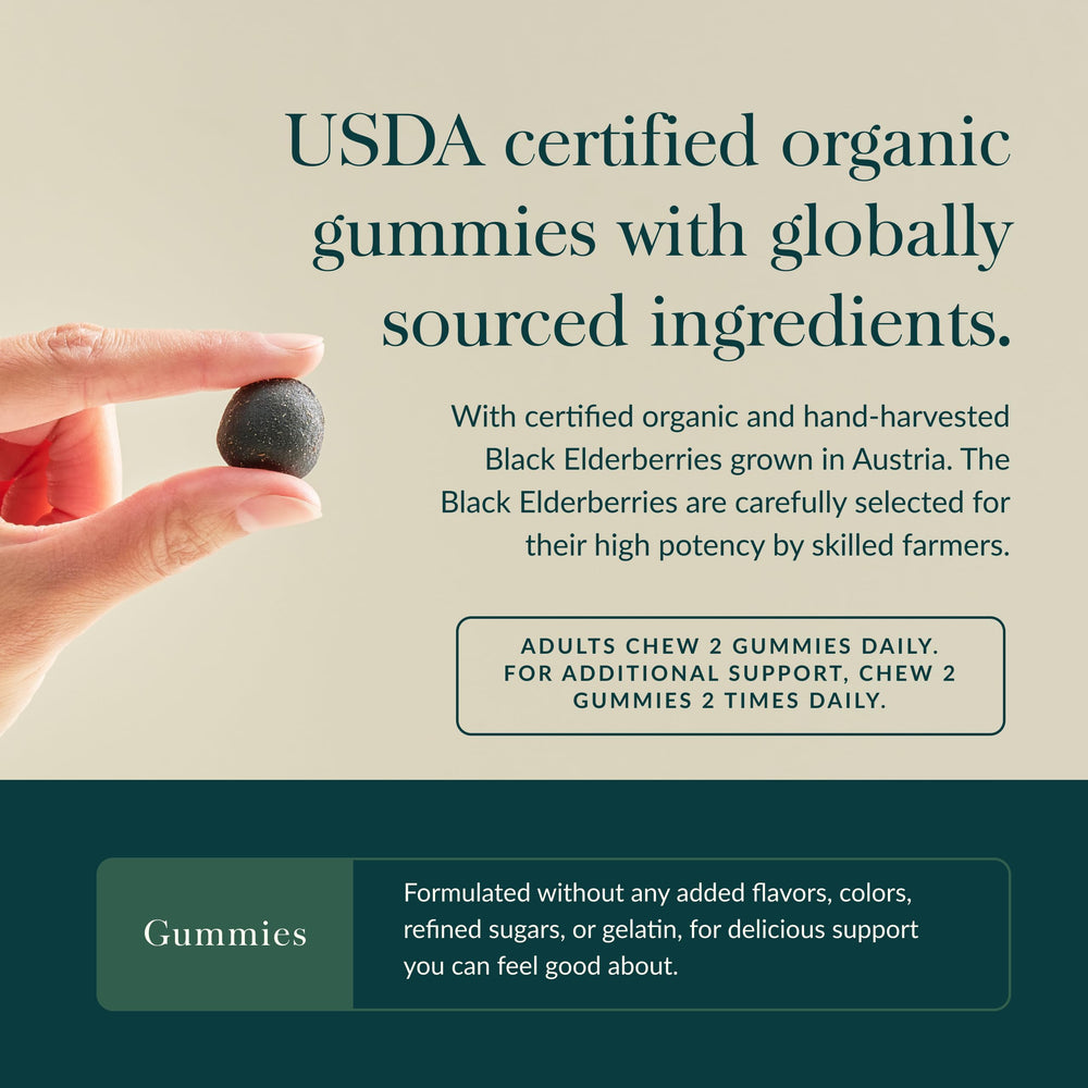 Gaia Herbs Organic Elderberry Blend image highlights high-quality ingredients for daily wellness