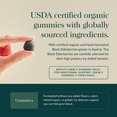 Gaia Herbs Organic Elderberry Blend image highlights high-quality ingredients for daily wellness
