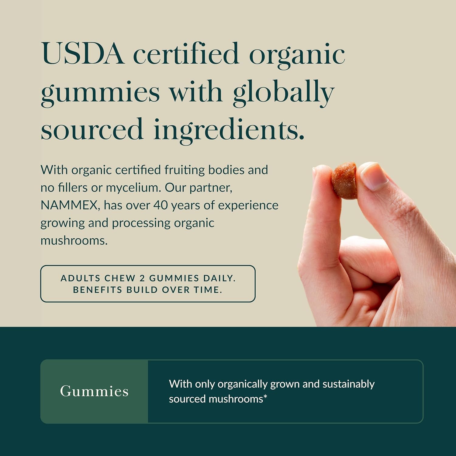 Gaia Herbs organic Lion's Mane mushroom fruiting body closeup