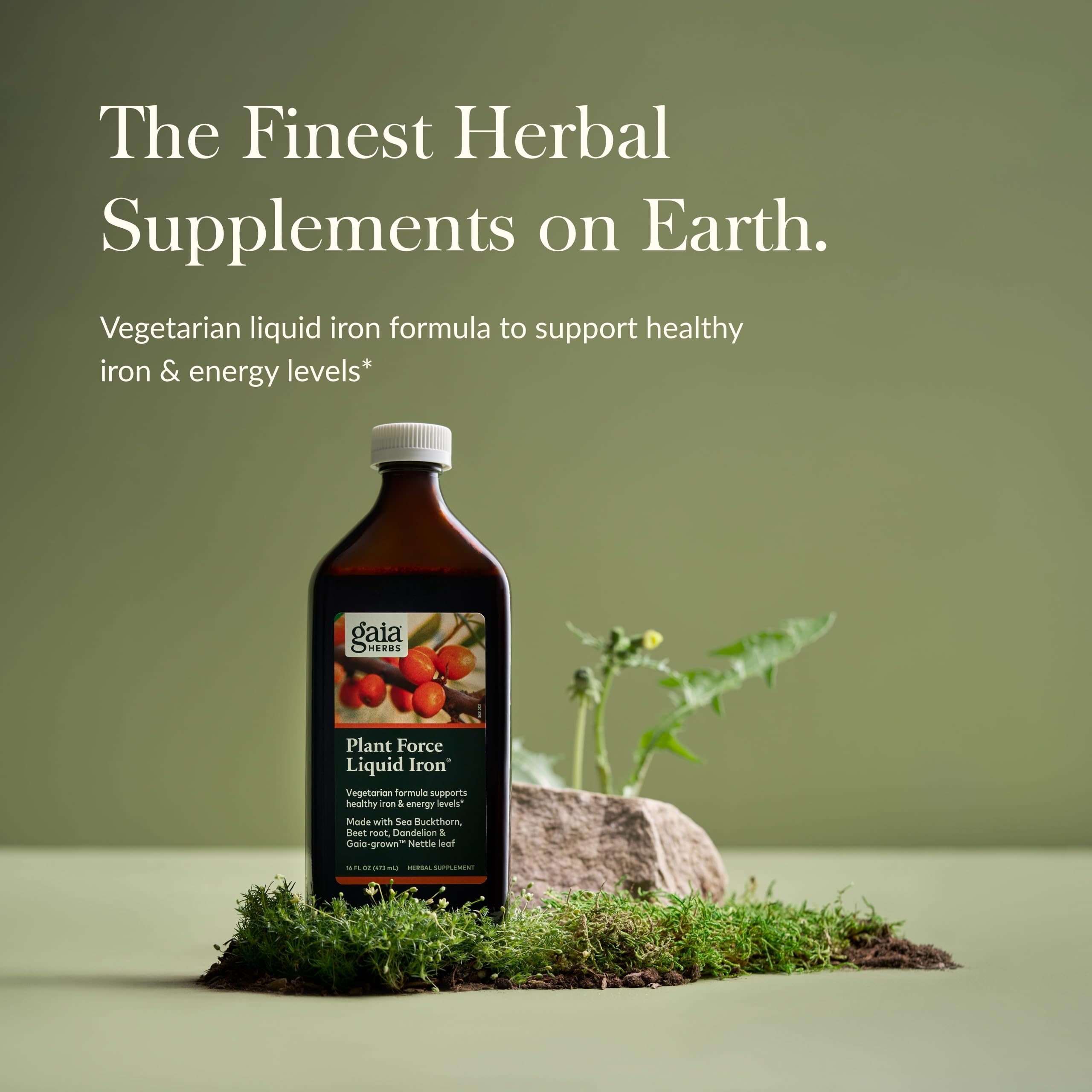 Close-up of Gaia Herbs Plant Force Liquid Iron label highlights natural ingredients and clean formula.