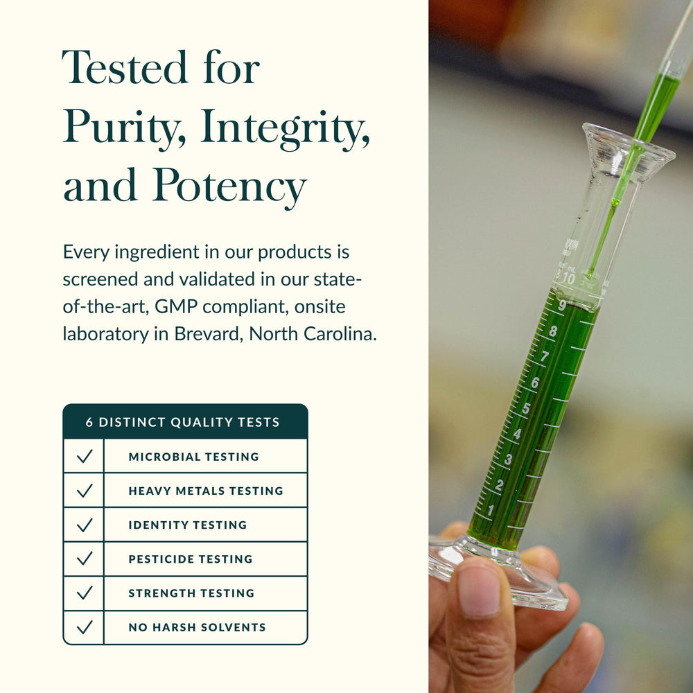 Star anise in Gaia Herbs Plant Force Liquid Iron emphasizes aroma and natural wellness notes.