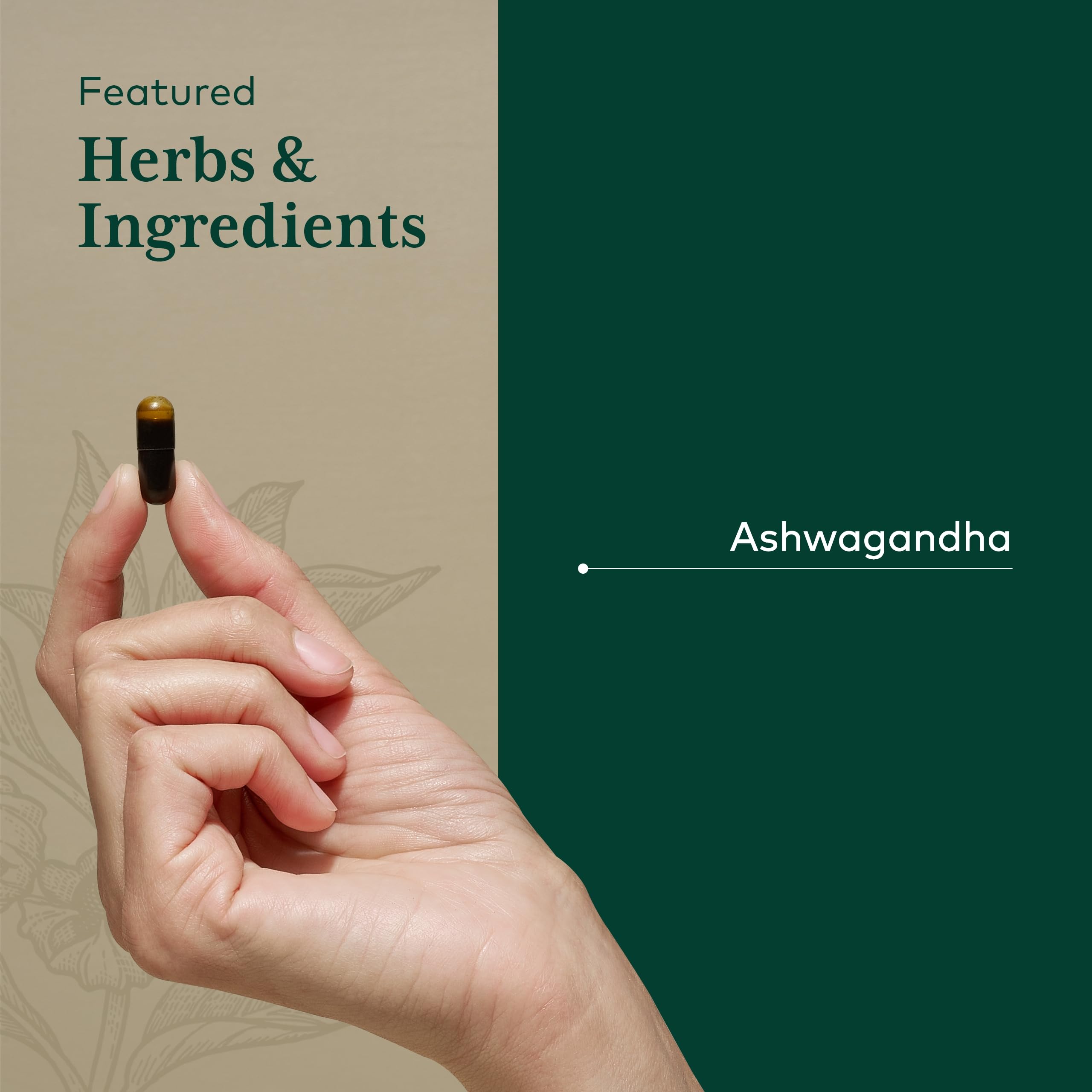 Gaia Herbs Pro Ashwagandha 700 on shelf signals premium-quality nutrition