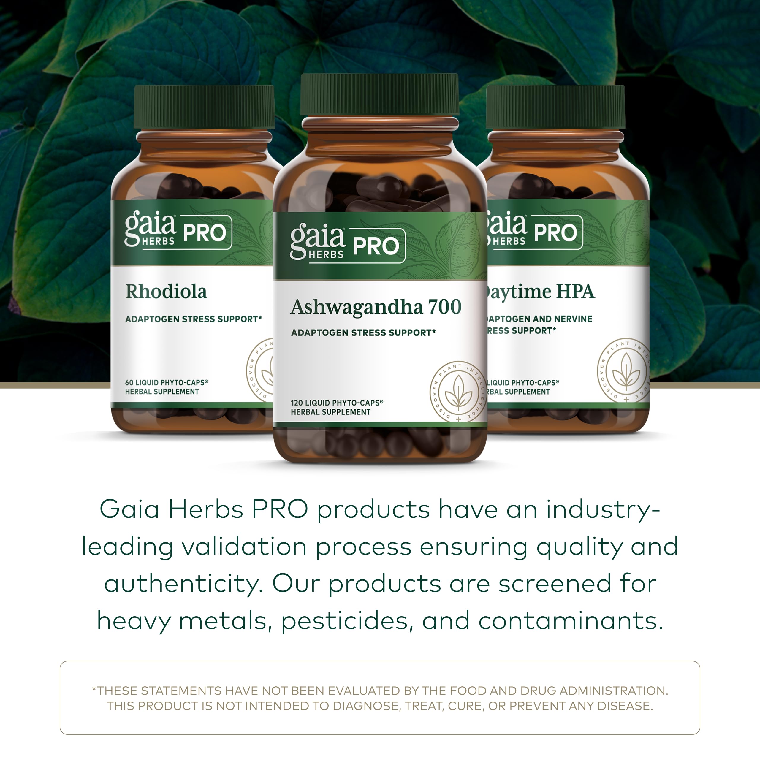 Gaia Herbs Pro Ashwagandha 700 organic farm scene reflects regenerative sourcing
