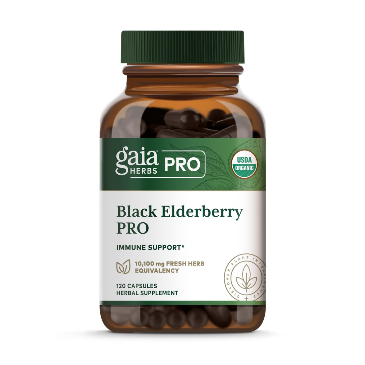 GAIA Herbs PRO Black Elderberry PRO bottle for daily immune support.