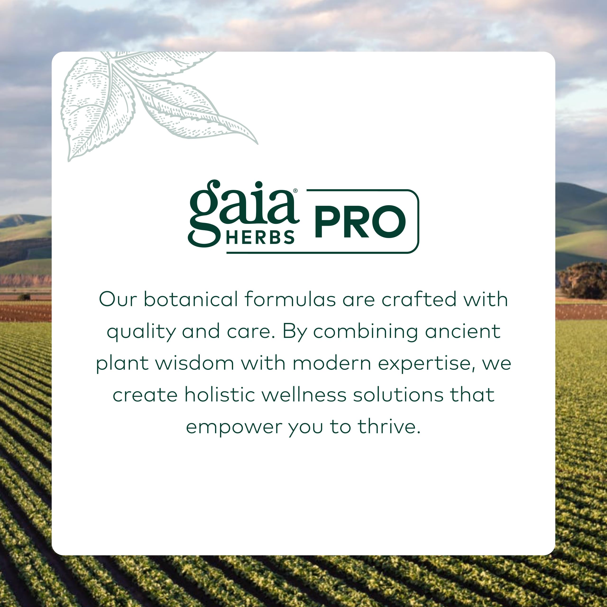 GAIA HERBS PRO Curcuma Supreme: experiencia natural desde granja regenerativa a tu hogar.