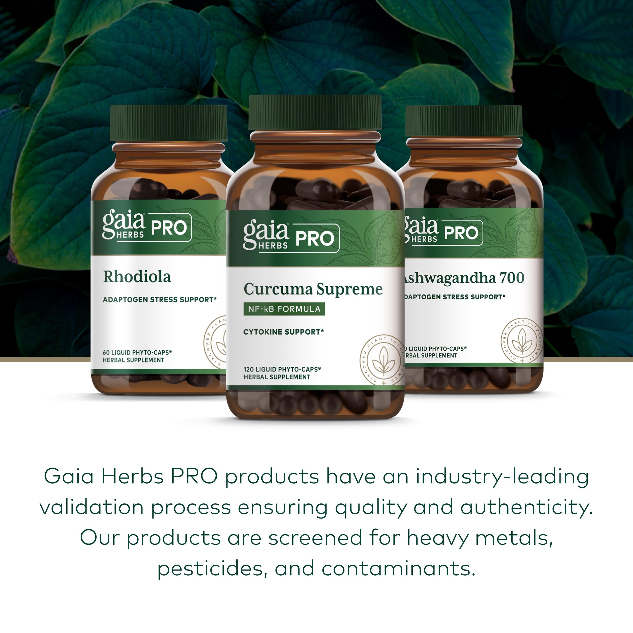 GAIA HERBS PRO turmeric root close-up showing plant source and natural curcumin benefit