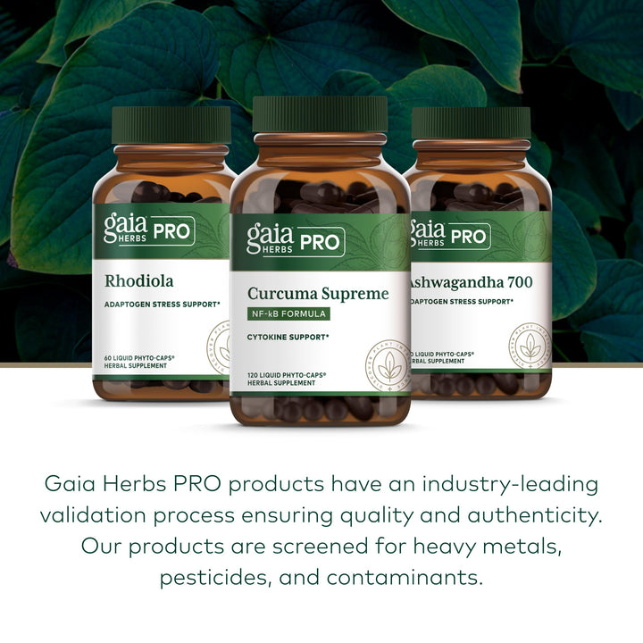 GAIA HERBS PRO turmeric root close-up showing plant source and natural curcumin benefit