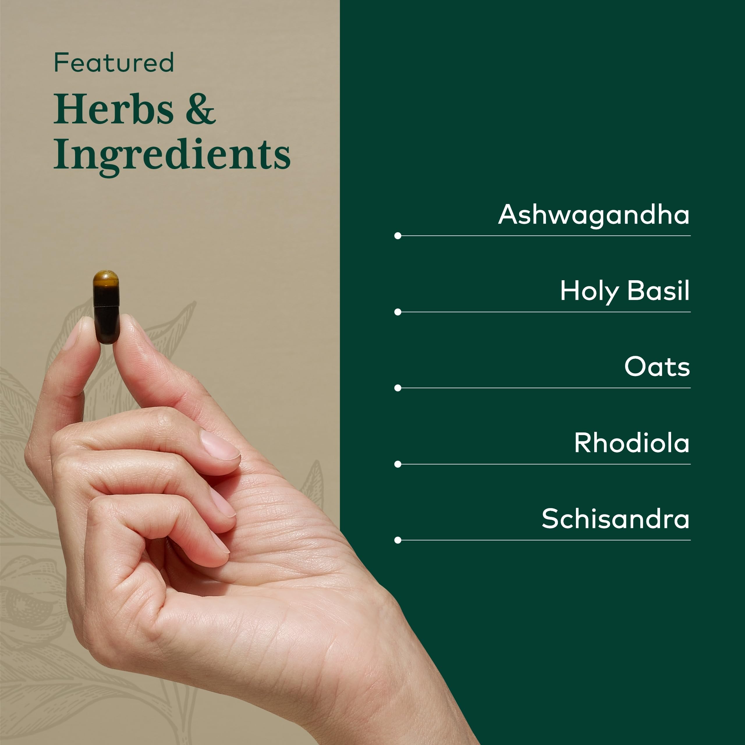 GAIA Herbs Pro Daytime HPA ingredients include ashwagandha and rhodiola.