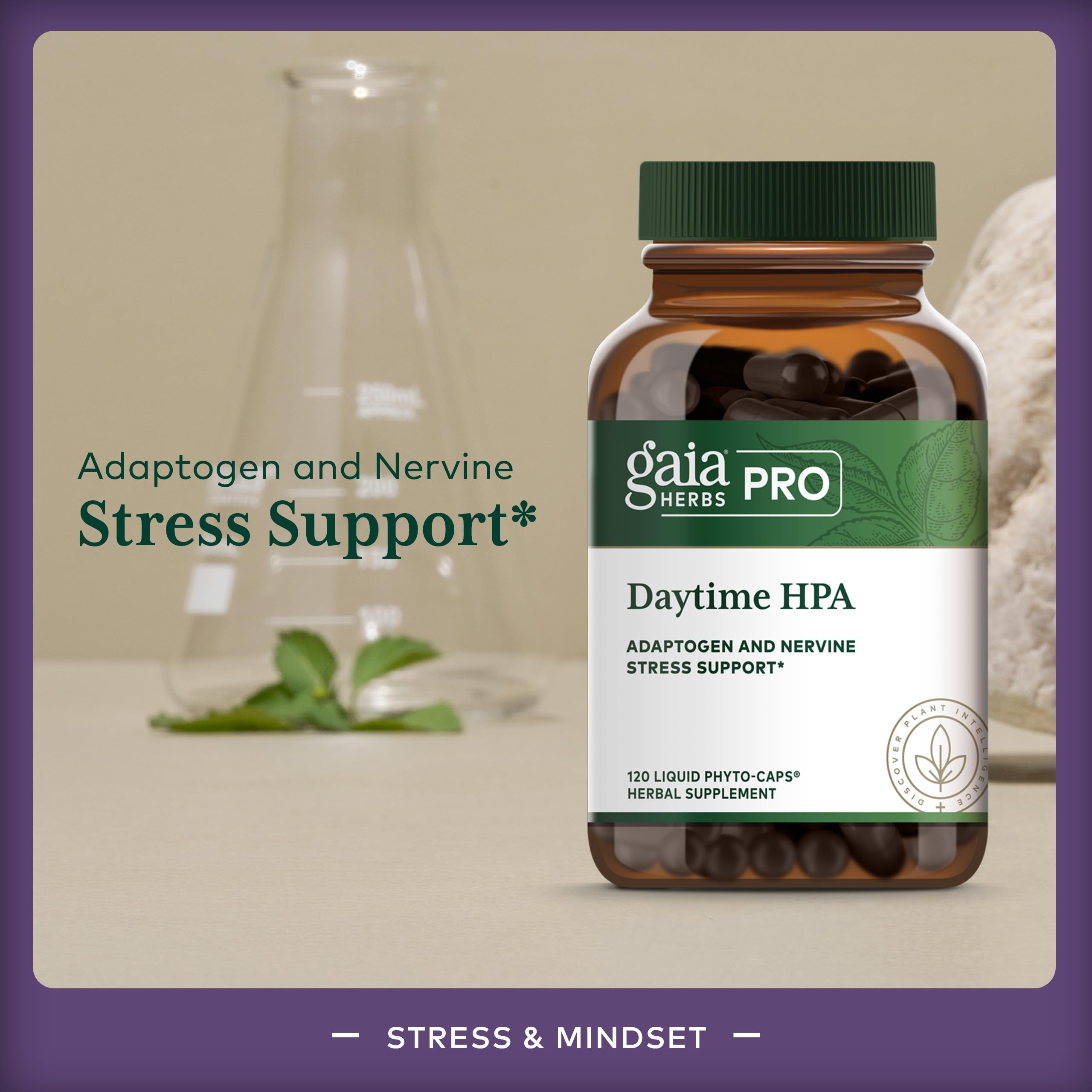 GAIA Herbs Pro Daytime HPA olive oil base aids absorption.