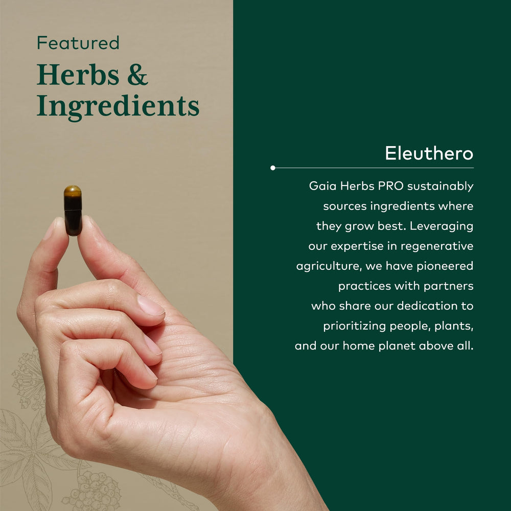 Gaia Herbs PRO Eleuthero capsules inside bottle ready for daily use