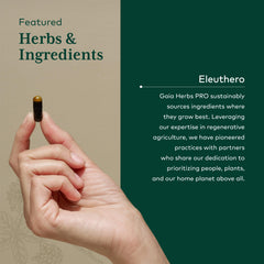 Gaia Herbs PRO Eleuthero capsules inside bottle ready for daily use