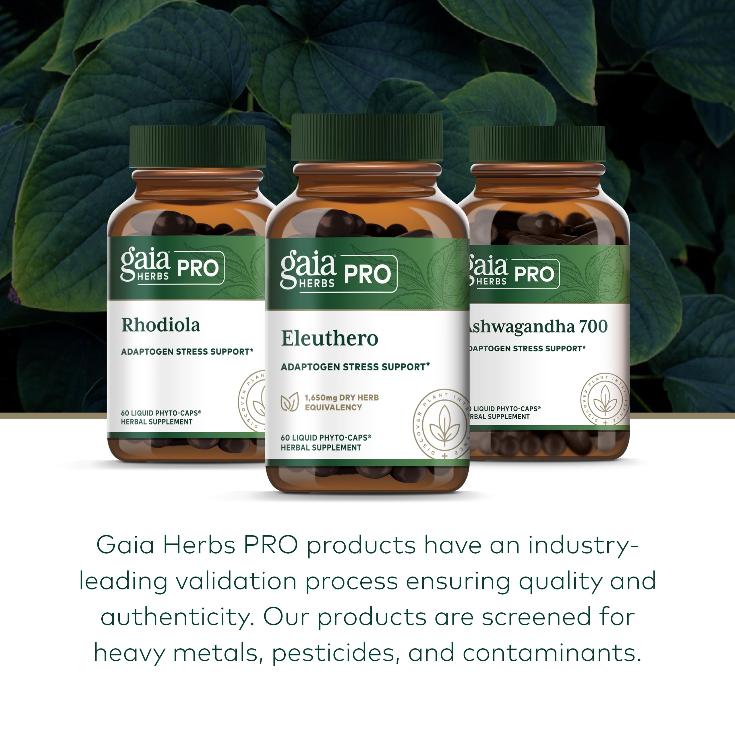 Gaia Herbs PRO Eleuthero farm field illustrating regenerative farming