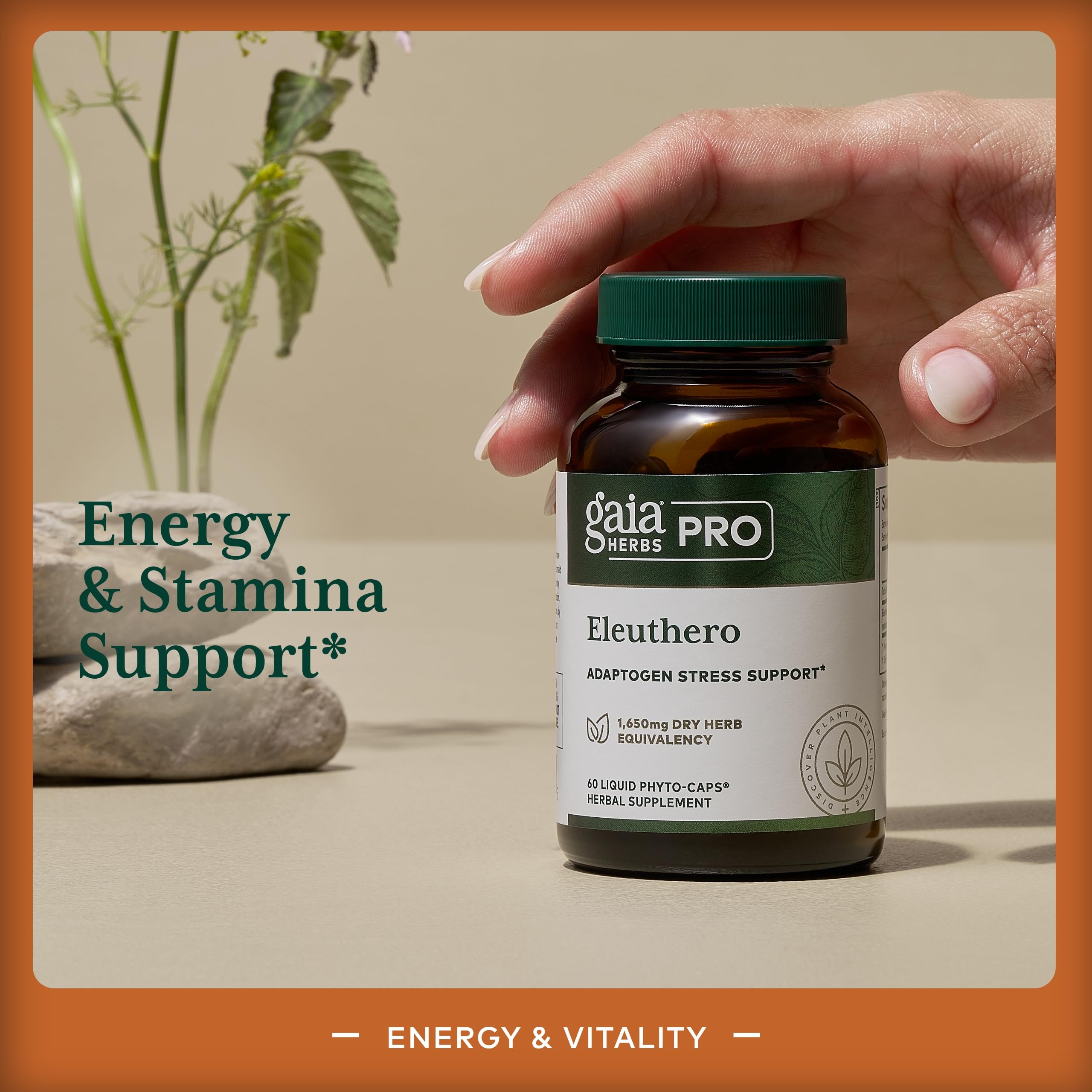 Gaia Herbs PRO Eleuthero label closeup highlighting potency