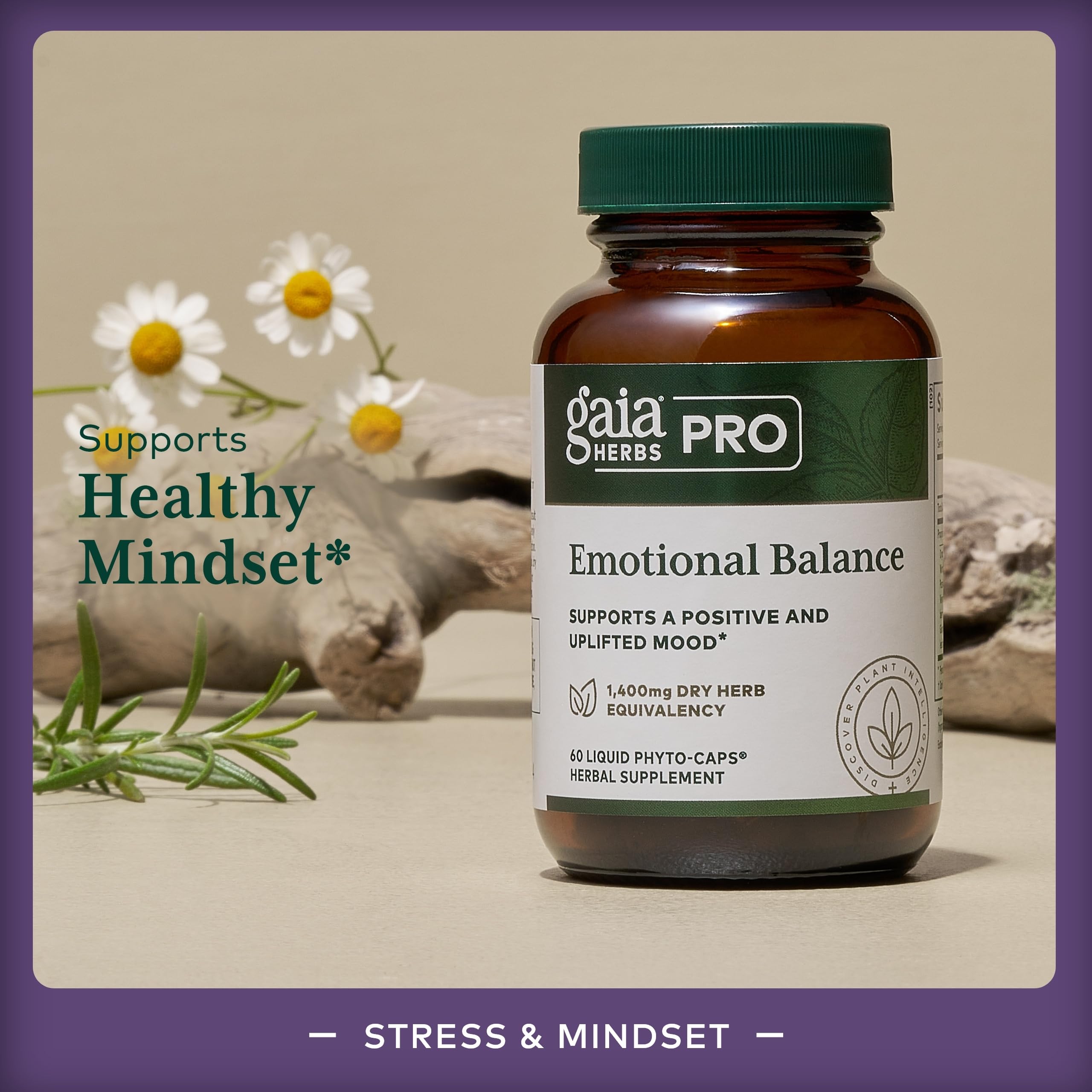 Capsules close-up showing a calming herbal blend