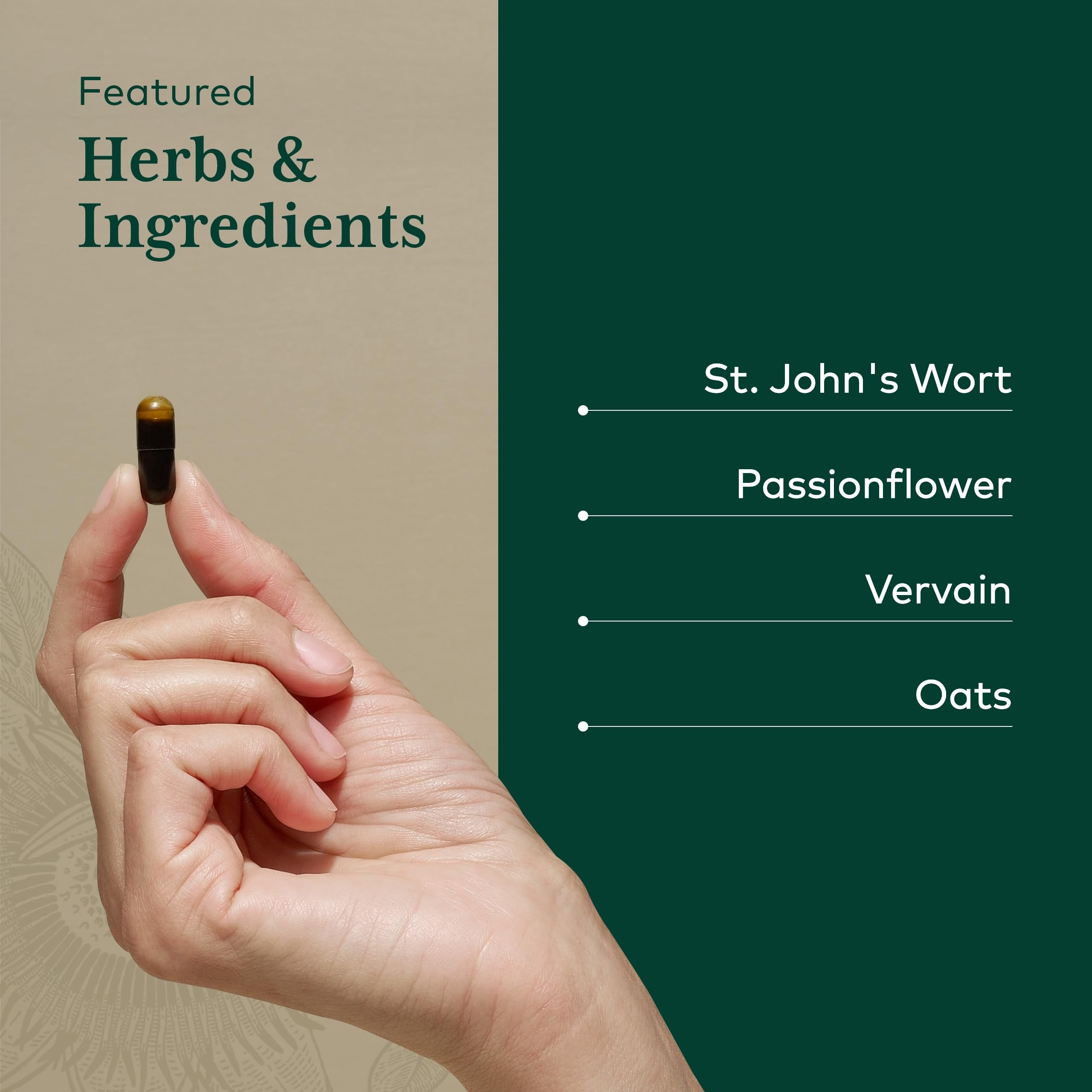 Ingredients display St. John's wort and friends for mood support