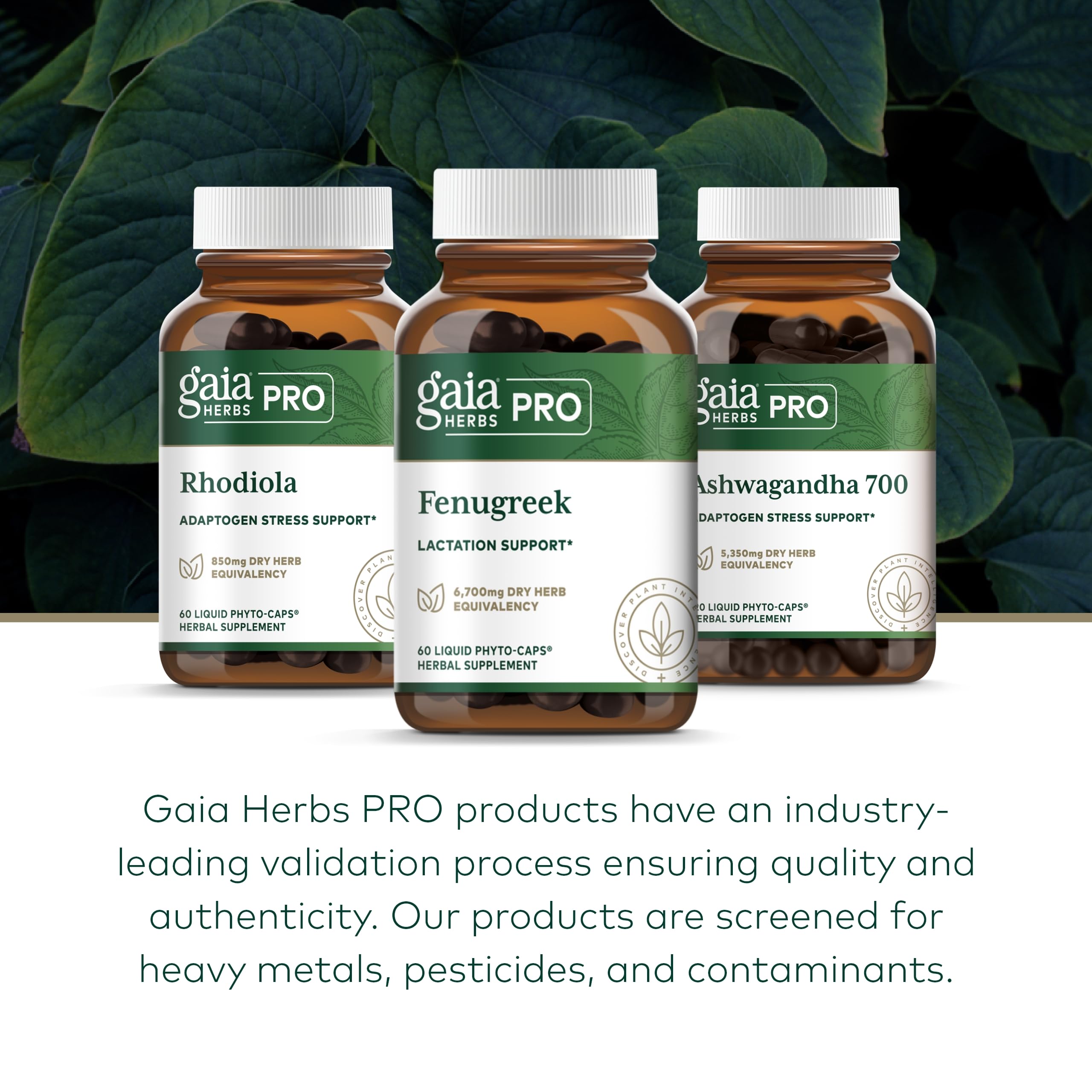 Gaia Herbs Pro Fenugreek vitamin-rich bottle highlights B vitamins and beta carotene.