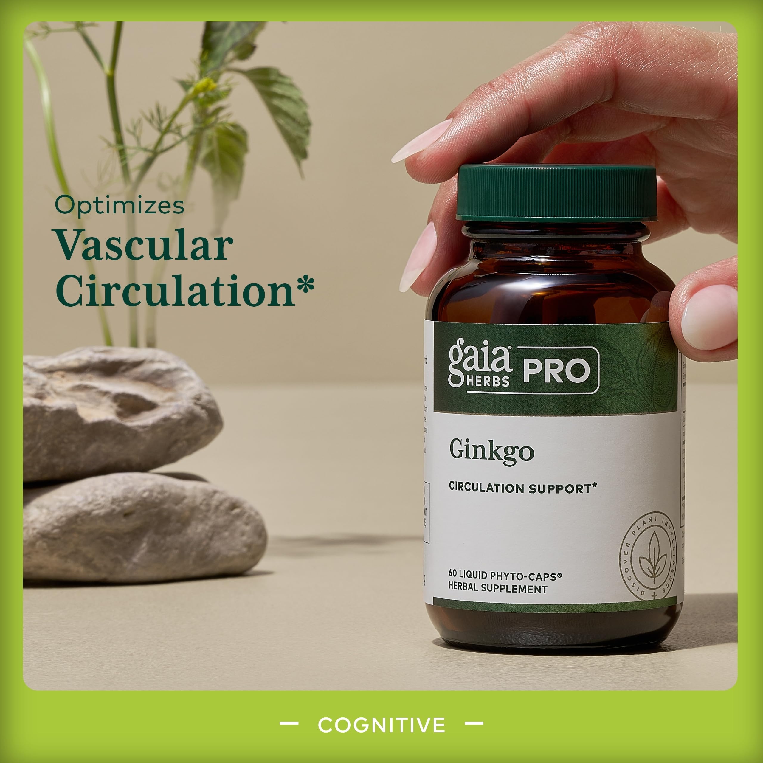 Gaia Herbs PRO Ginkgo capsules close-up showing liquid phyto-caps
