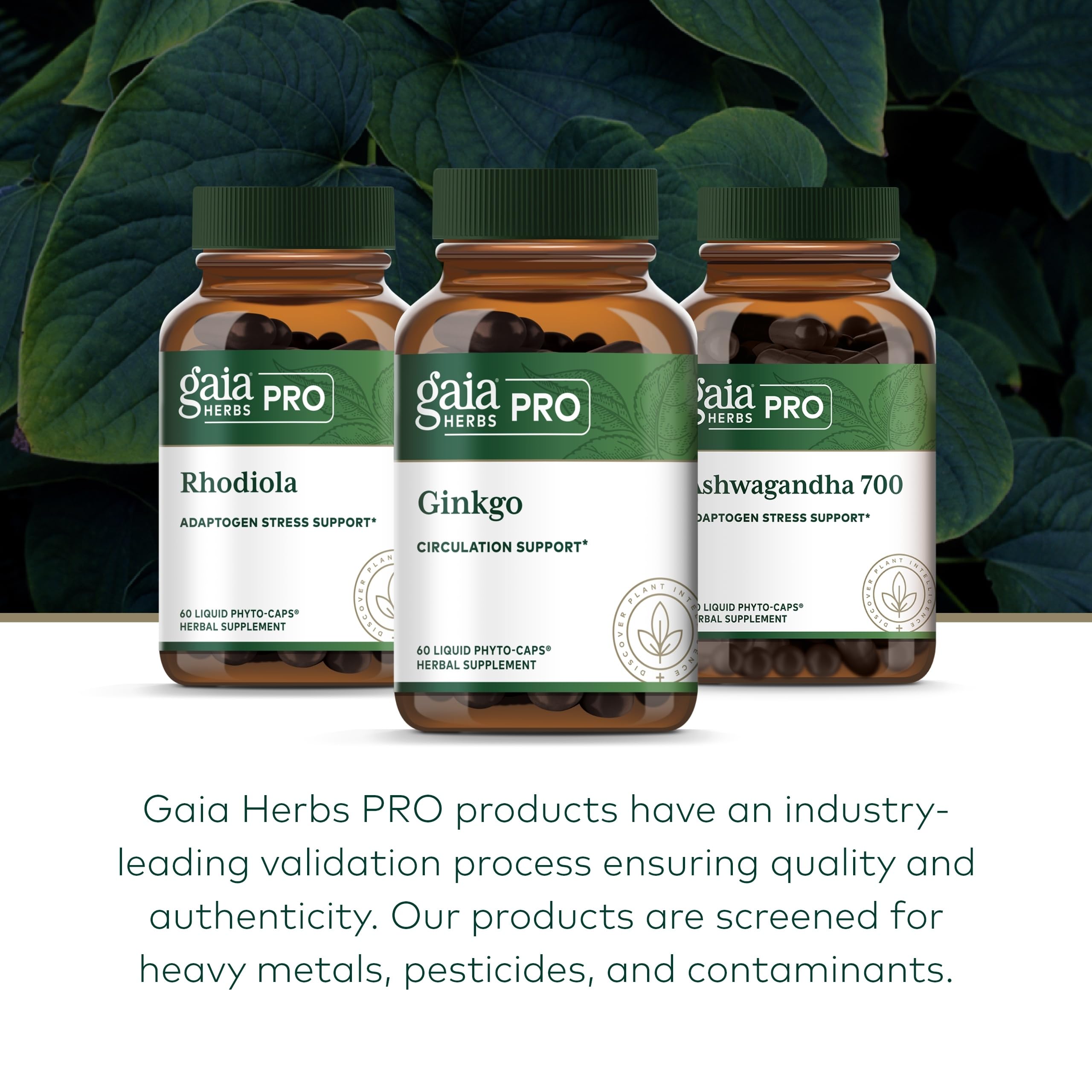 Gaia Herbs PRO Ginkgo ingredients panel detail emphasizing quality