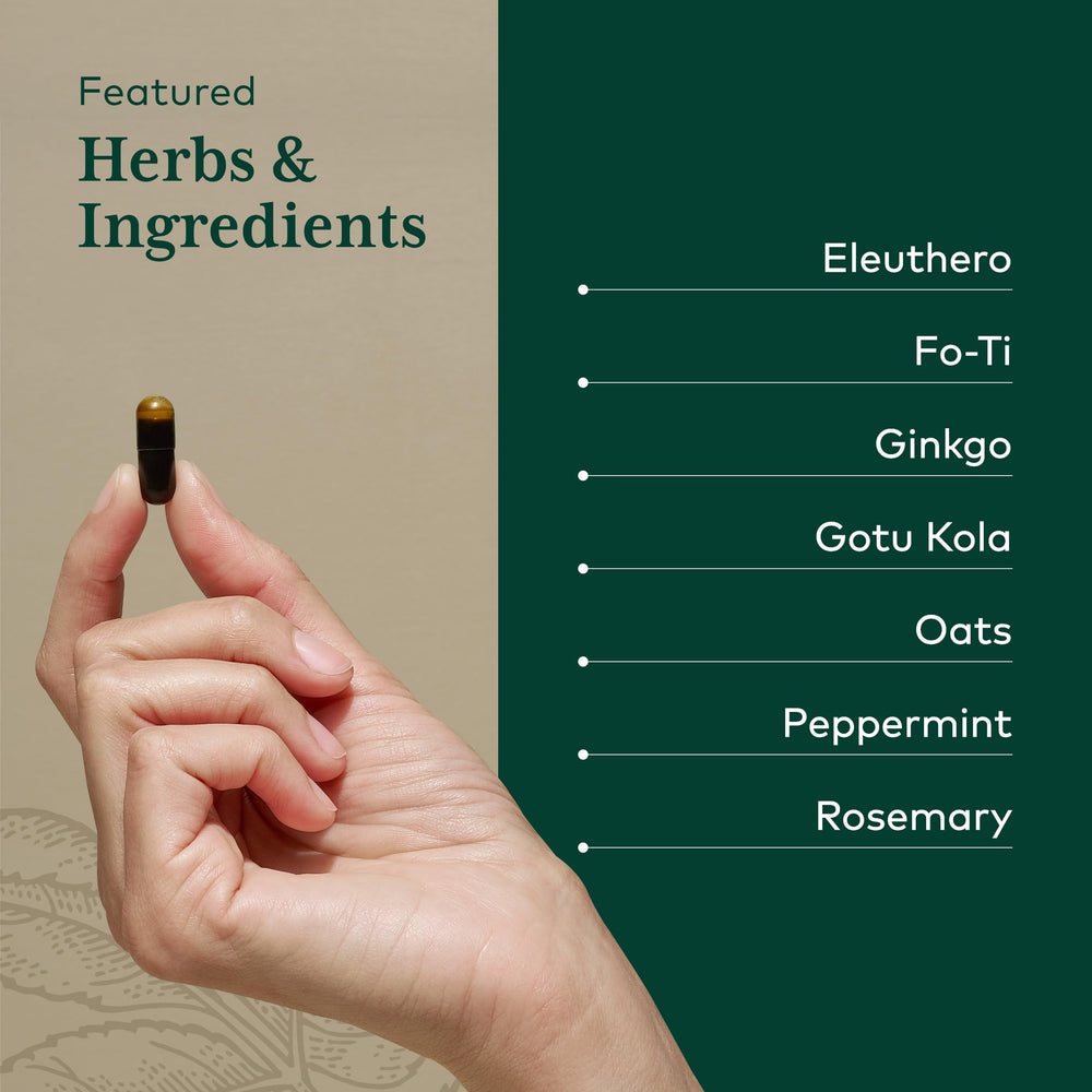 Gaia Herbs PRO ginkgo leaf close-up for better cerebral circulation.