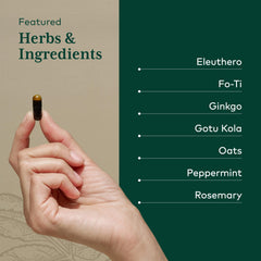 Gaia Herbs PRO ginkgo leaf close-up for better cerebral circulation.