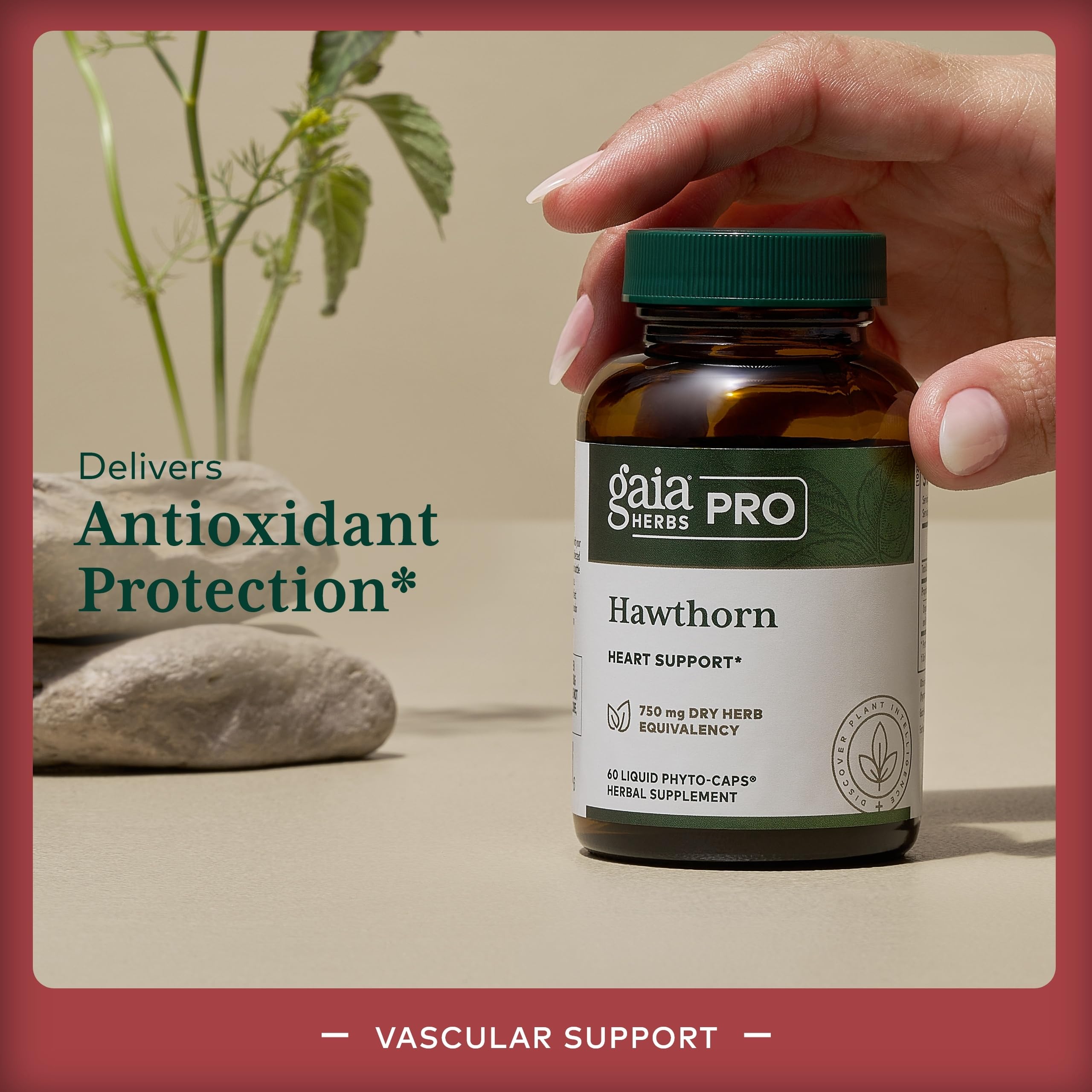 Gaia Herbs Pro Hawthorn berries image emphasizes natural antioxidant-rich fruit for daily wellness