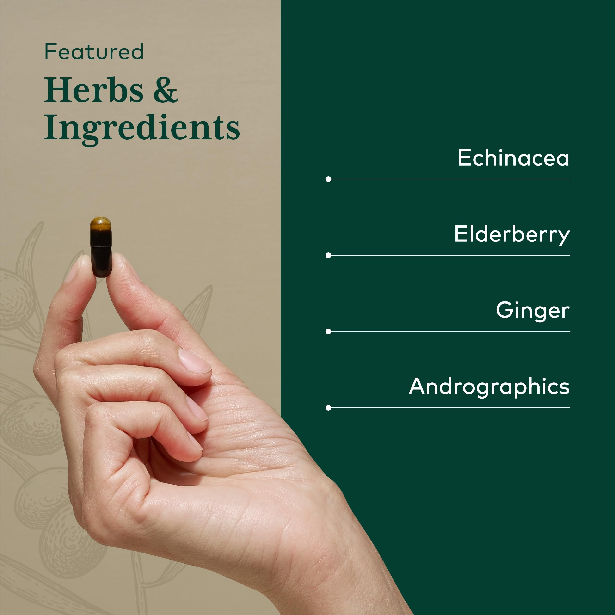 Gaia Herbs Pro Immune Activator ingredient panel image emphasizing echinacea, elderberry, and ginger.