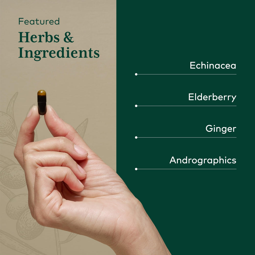 Gaia Herbs Pro Immune Activator ingredient panel image emphasizing echinacea, elderberry, and ginger.