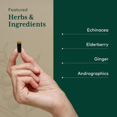 Gaia Herbs Pro Immune Activator ingredient panel image emphasizing echinacea, elderberry, and ginger.