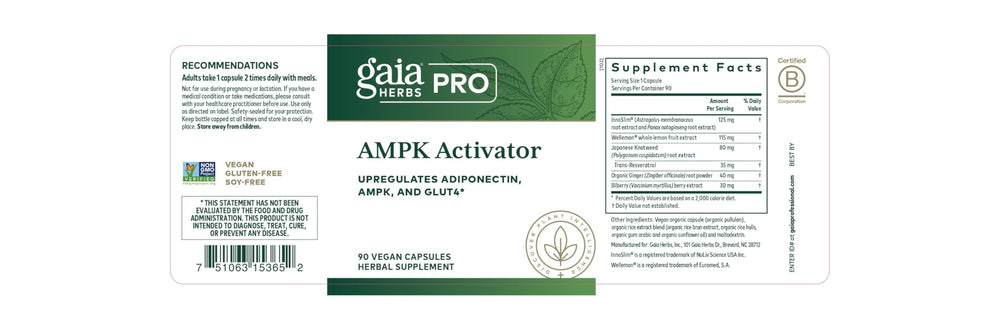 Gaia Herbs PRO ingredients visuals showing ginger, knotweed and bilberry for metabolic support