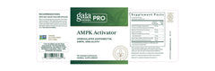 Gaia Herbs PRO ingredients visuals showing ginger, knotweed and bilberry for metabolic support