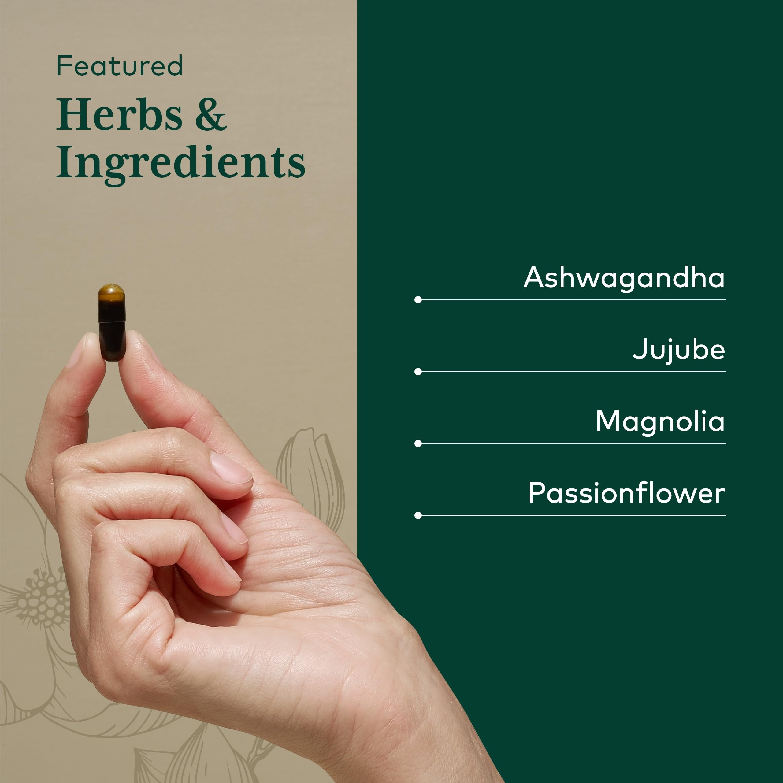Gaia Herbs PRO jujube dates close-up showcasing soothing sleep ritual.