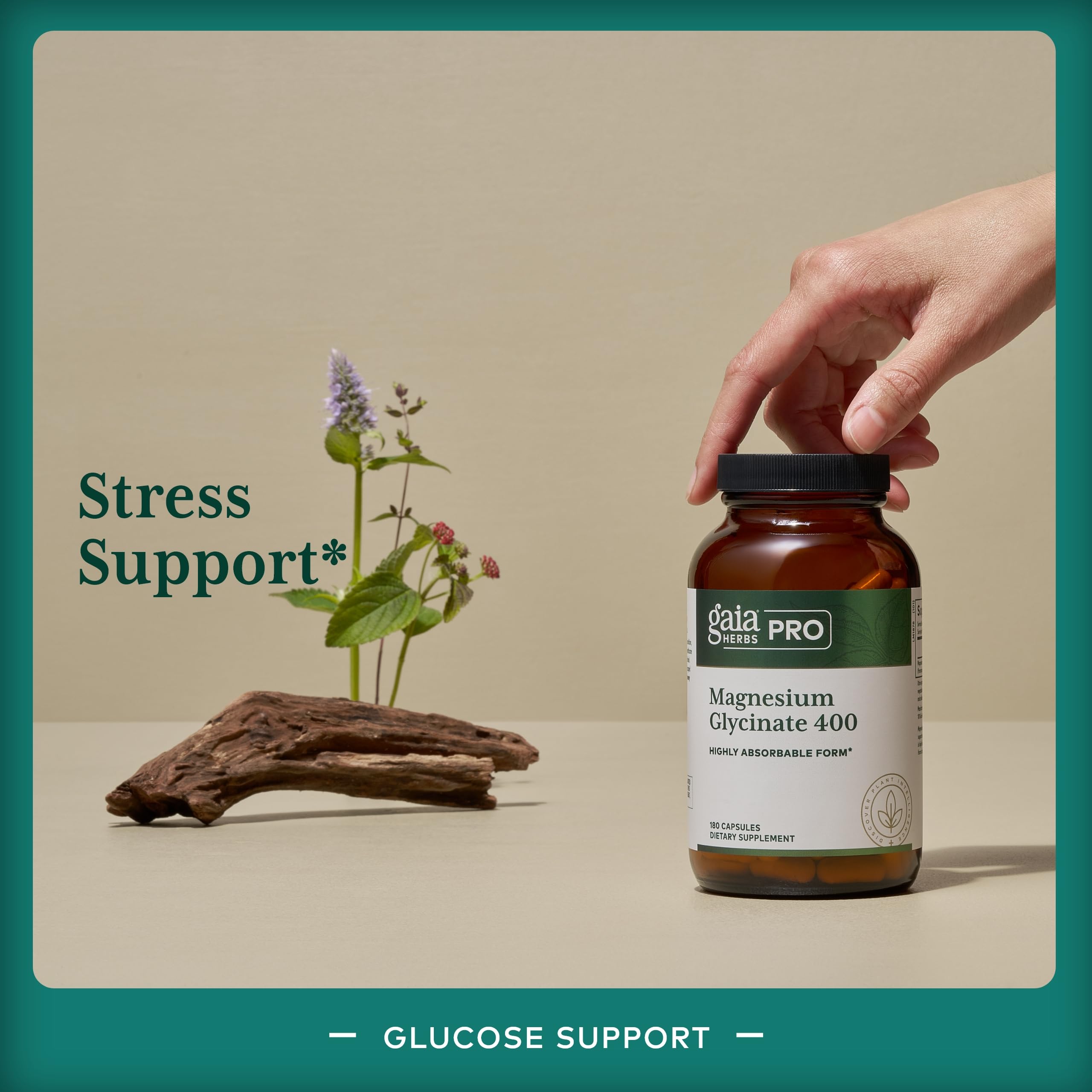 Close-up of Gaia Herbs PRO Magnesium Glycinate capsules per serving.
