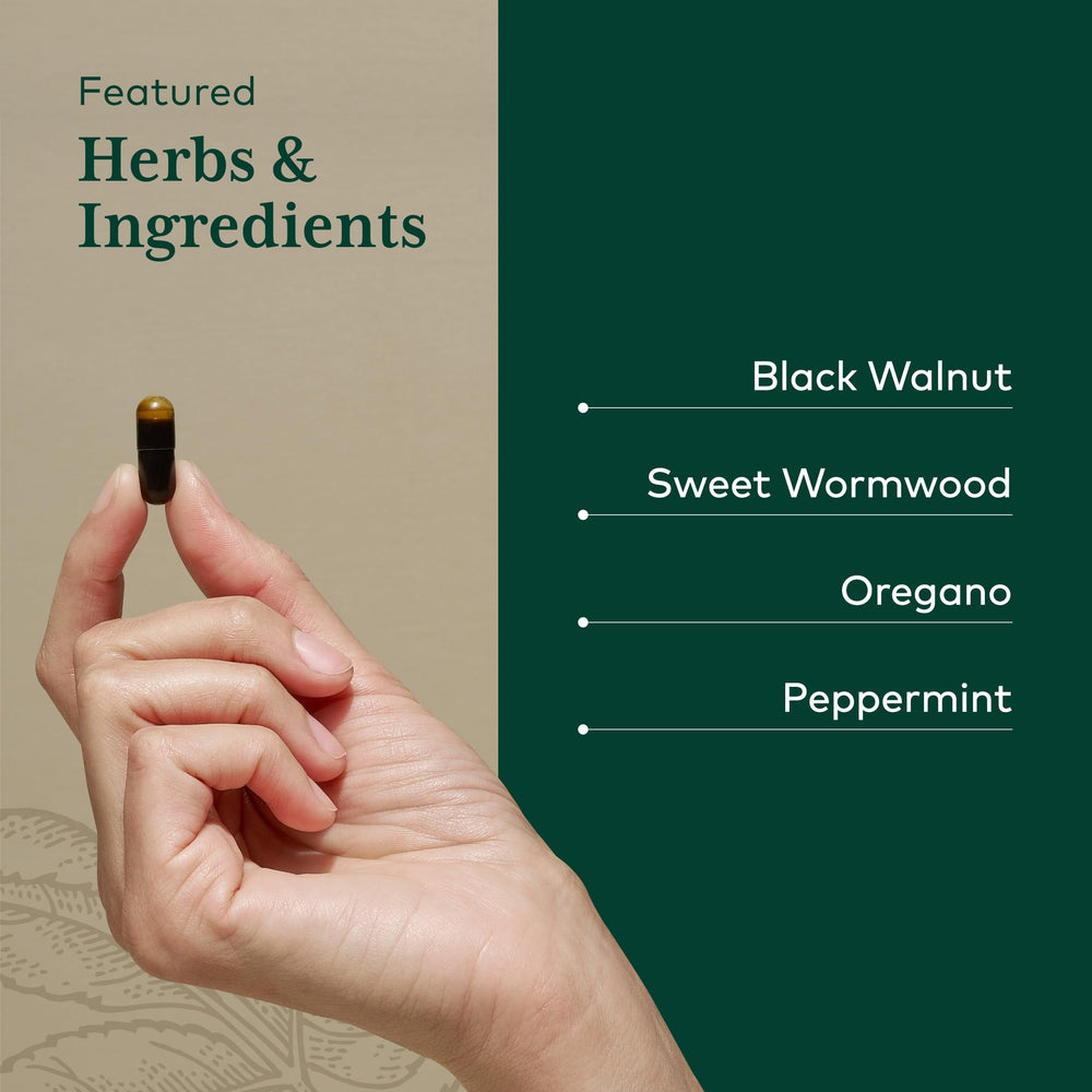 GAIA Herbs Pro organic sweet wormwood close-up for herbal depth