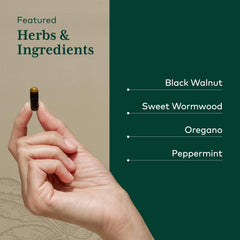 GAIA Herbs Pro organic sweet wormwood close-up for herbal depth